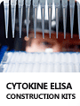 Cytokine ELISA Construction Kits